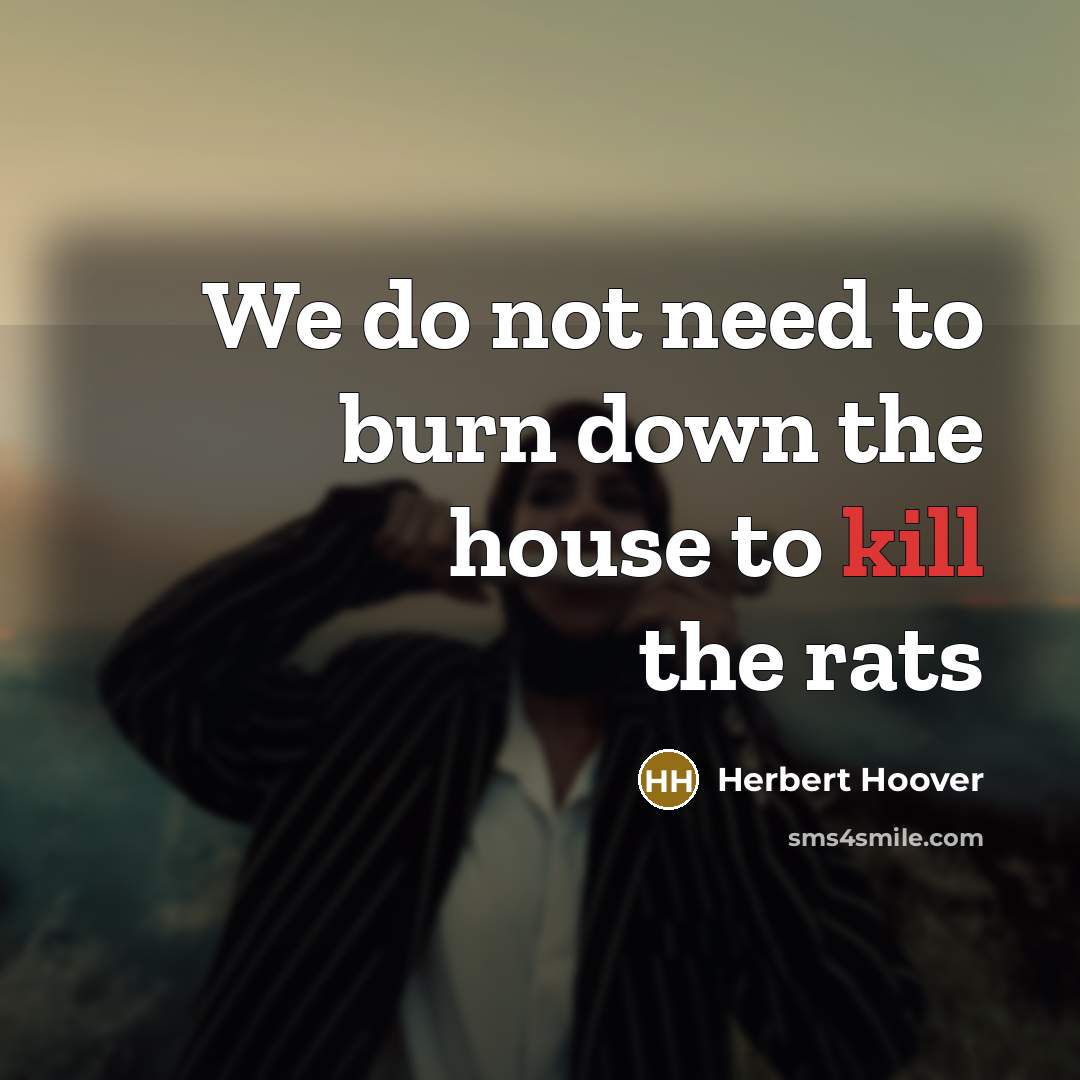 “We do not need to burn down the house to…” quote by Herbert Hoover