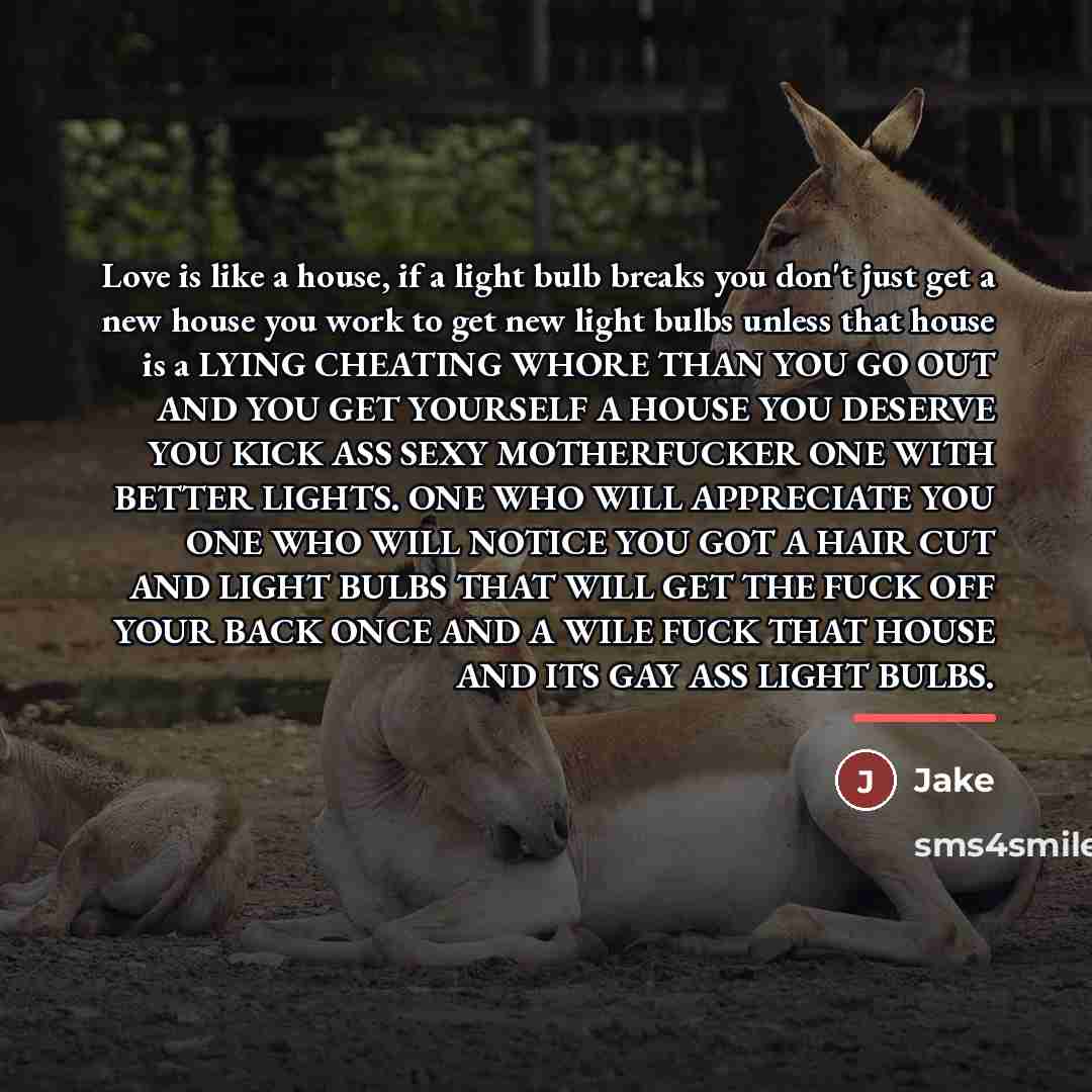 “Love is like a house, if a light bulb breaks…” quote by Jake