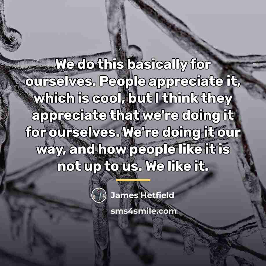“We do this basically for ourselves. People appreciate it, which…” quote by James Hetfield