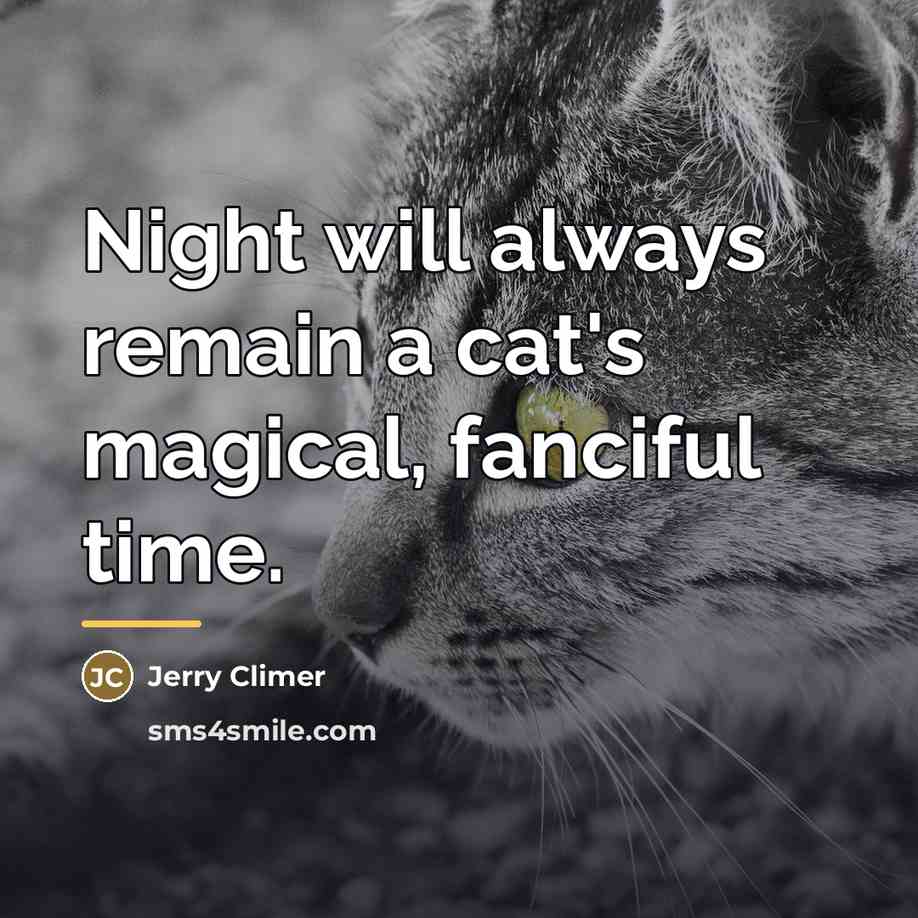 “Night will always remain a cat's magical, fanciful time.…” quote by Jerry Climer