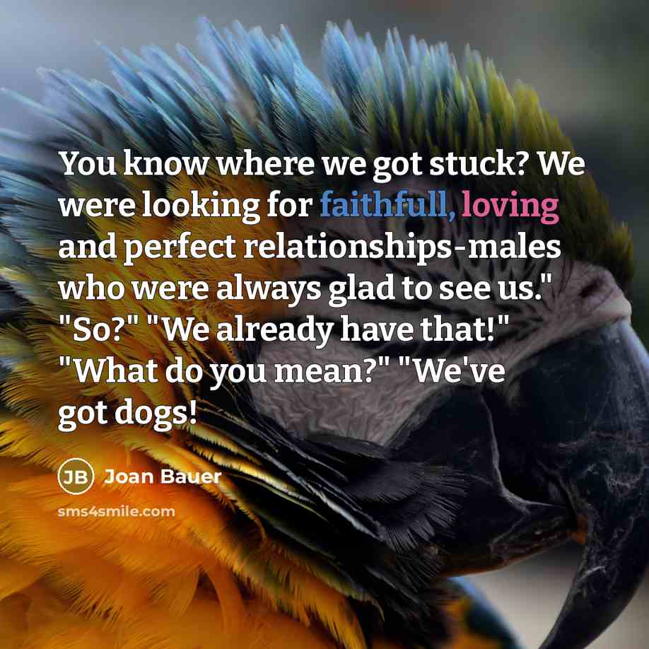 “You know where we got stuck? We were looking for faithfull, loving and perfect relationships-males who were always glad to see us." "So?" "We already have that!" "What do you mean?" "We've got dogs!” quote by Joan Bauer