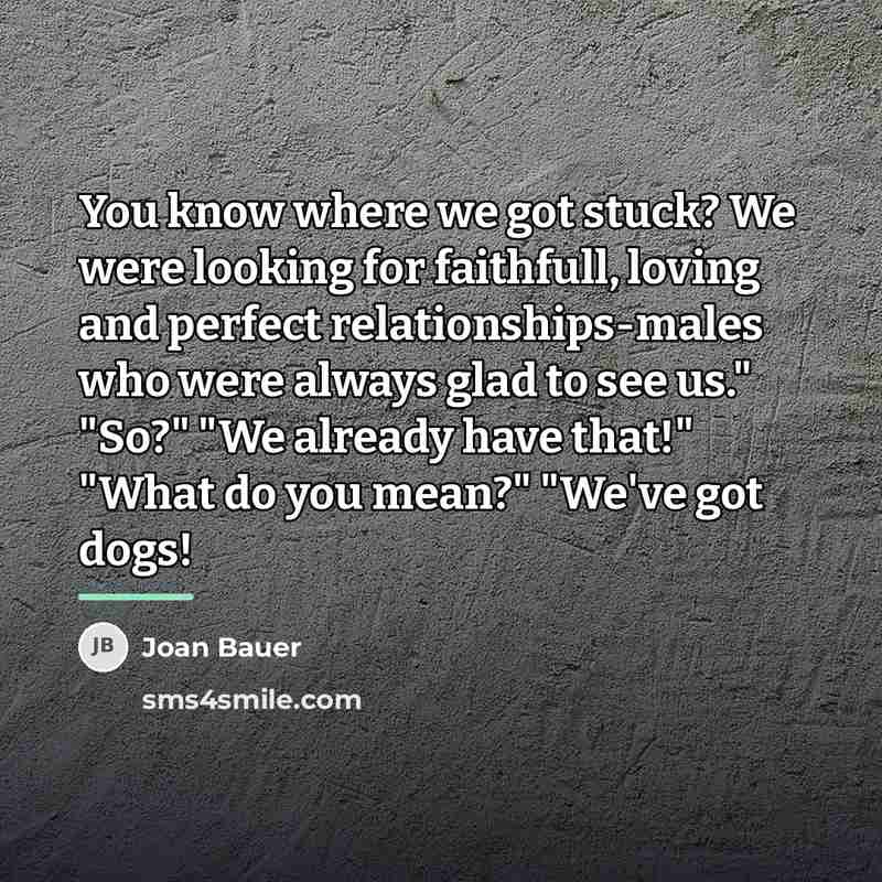 “You know where we got stuck? We were looking for…” quote by Joan Bauer