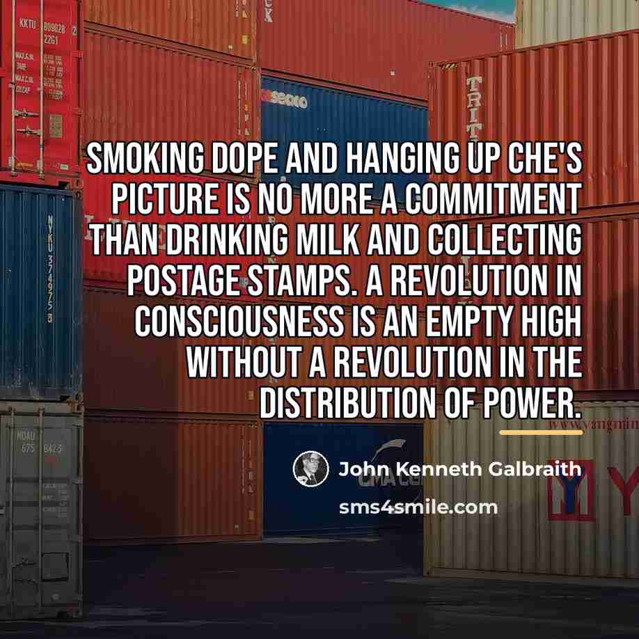 “Smoking dope and hanging up Che's picture is no more…” quote by John Kenneth Galbraith