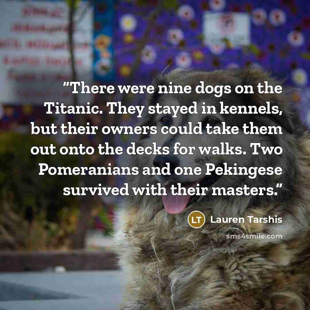 “There were nine dogs on the Titanic. They stayed in kennels, but their owners could take them out onto the decks for walks. Two Pomeranians and one Pekingese survived with their masters.” quote by Lauren Tarshis