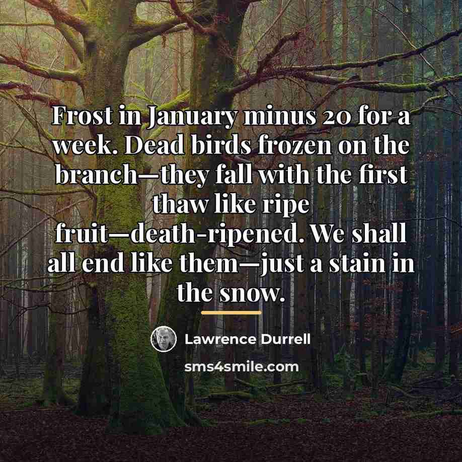 “Frost in January minus 20 for a week. Dead birds…” quote by Lawrence Durrell