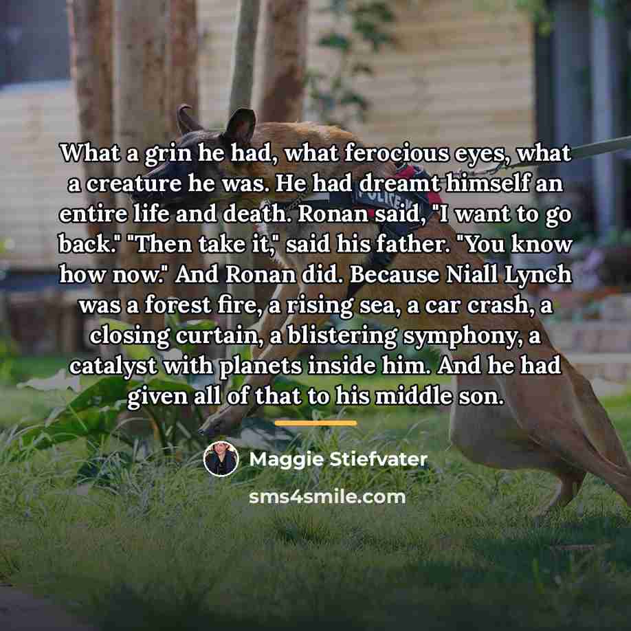 “What a grin he had, what ferocious eyes, what a…” quote by Maggie Stiefvater