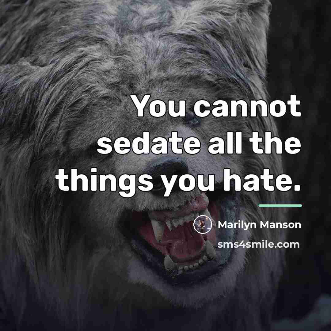 “You cannot sedate all the things you hate.…” quote by Marilyn Manson