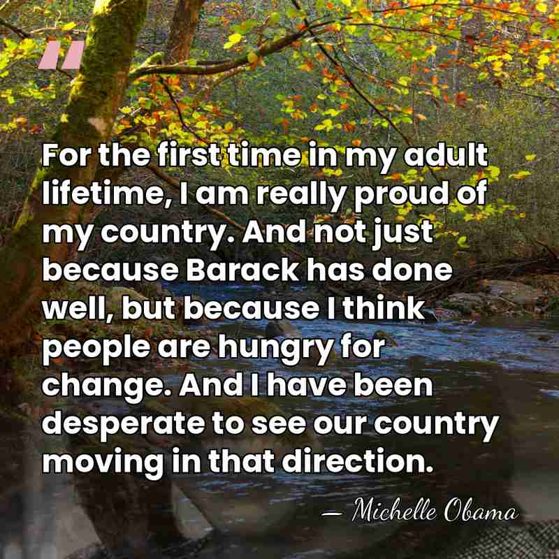 For the first time in my adult lifetime, I am really proud&hellip; - Michelle Obama