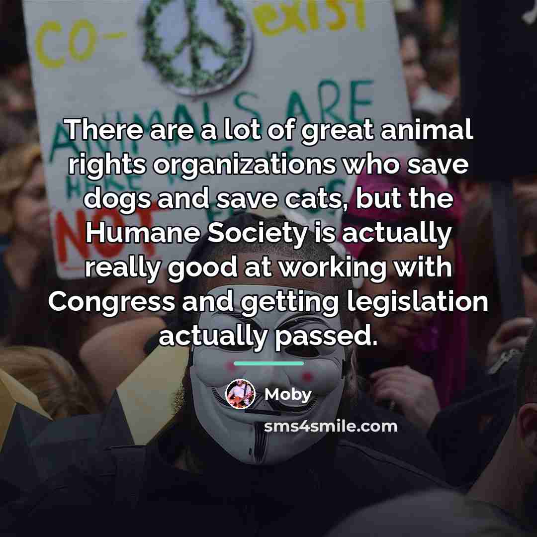 “There are a lot of great animal rights organizations who…” quote by Moby