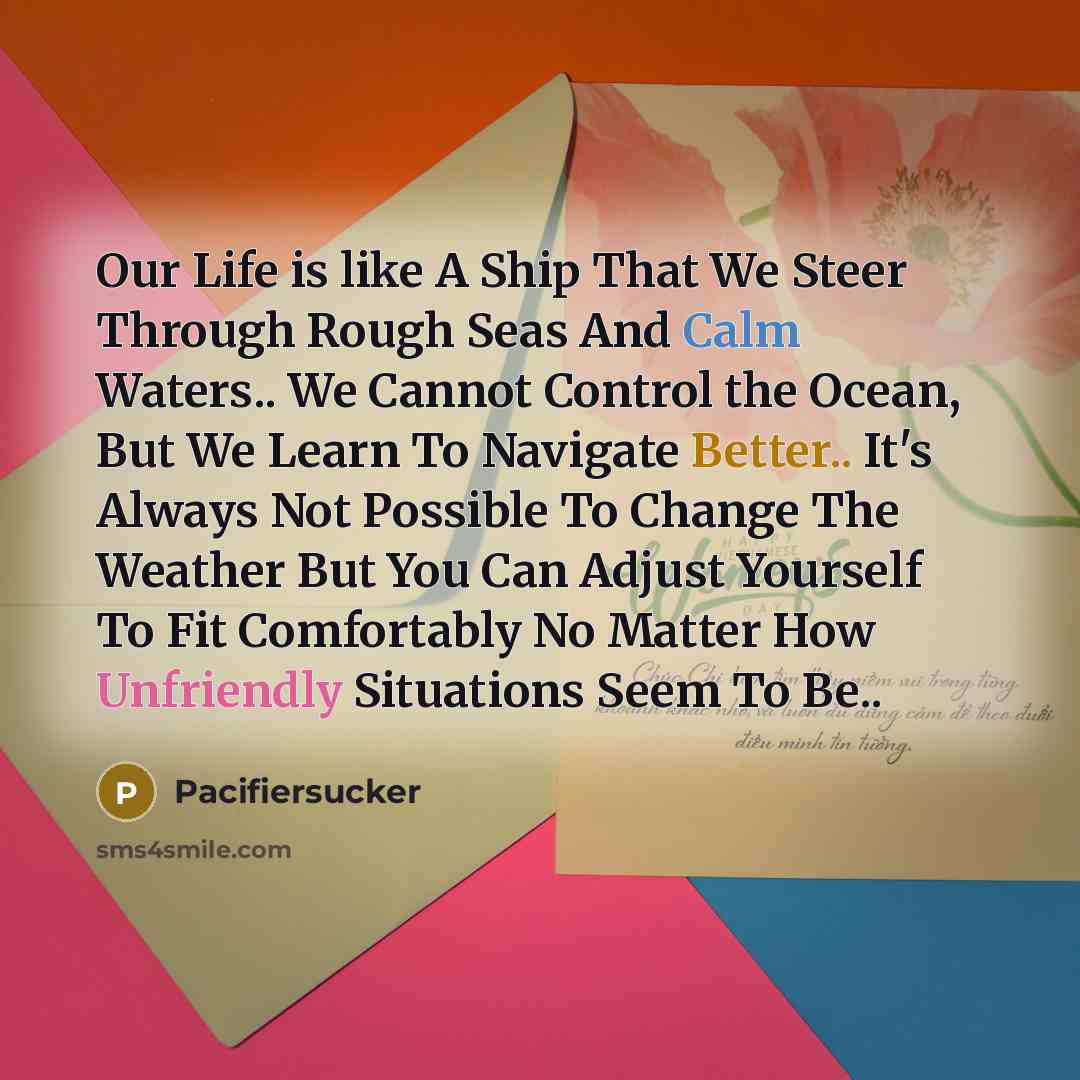 “Our Life is like A Ship That We Steer Through Rough Seas And Calm Waters.. We Cannot Control the Ocean, But We Learn To Navigate Better.. It's Always Not Possible To Change The Weather But You Can Adjust Yourself To Fit Comfortably No Matter How Unfriendly Situations Seem To Be..” quote by Pacifiersucker