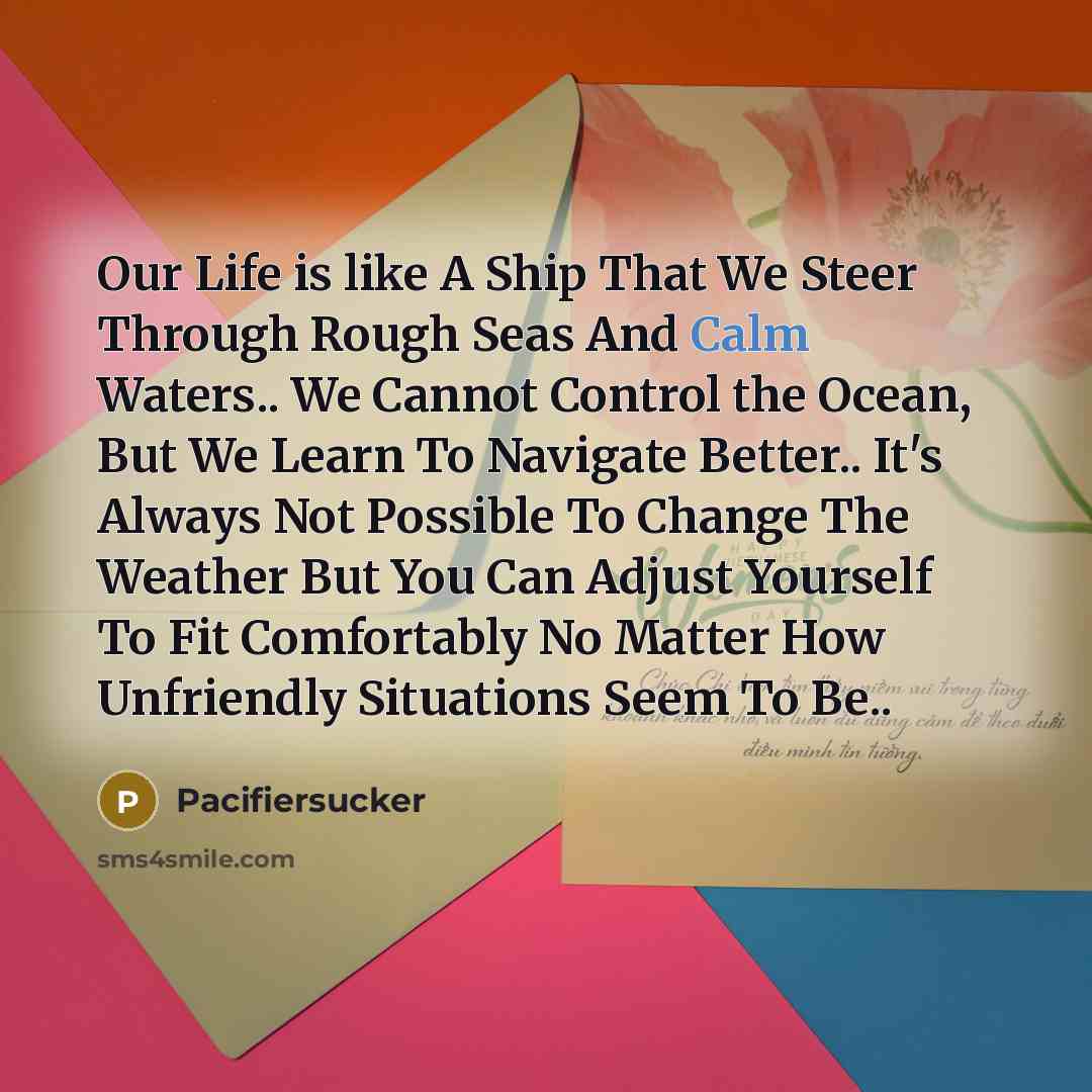“Our Life is like A Ship That We Steer Through…” quote by Pacifiersucker