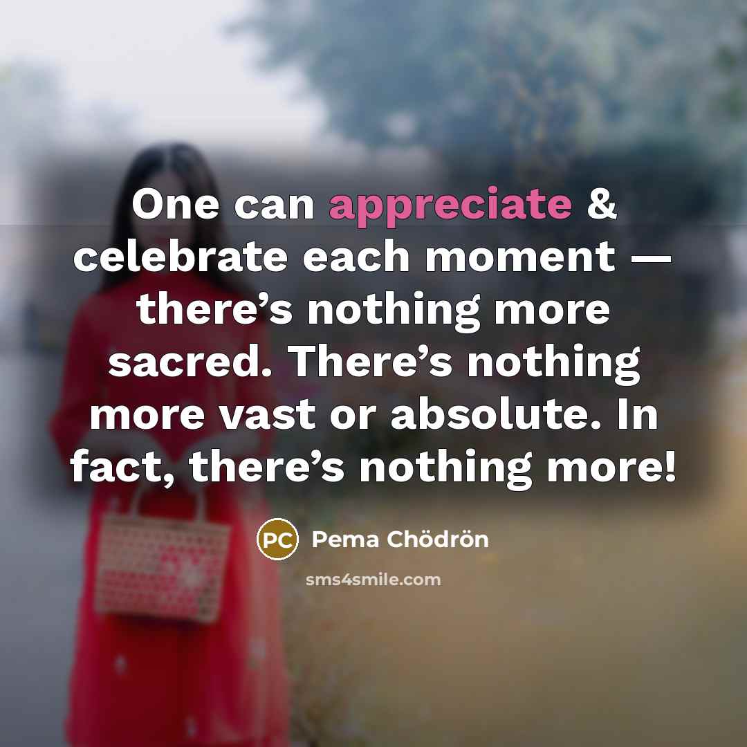 “One can appreciate & celebrate each moment — there’s nothing…” quote by Pema Chodron