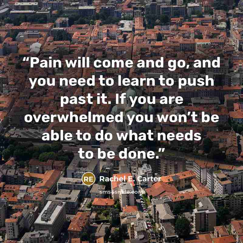 “Pain will come and go, and you need to learn to push past it. If you are overwhelmed you won’t be able to do what needs to be done.” quote by Rachel E. Carter
