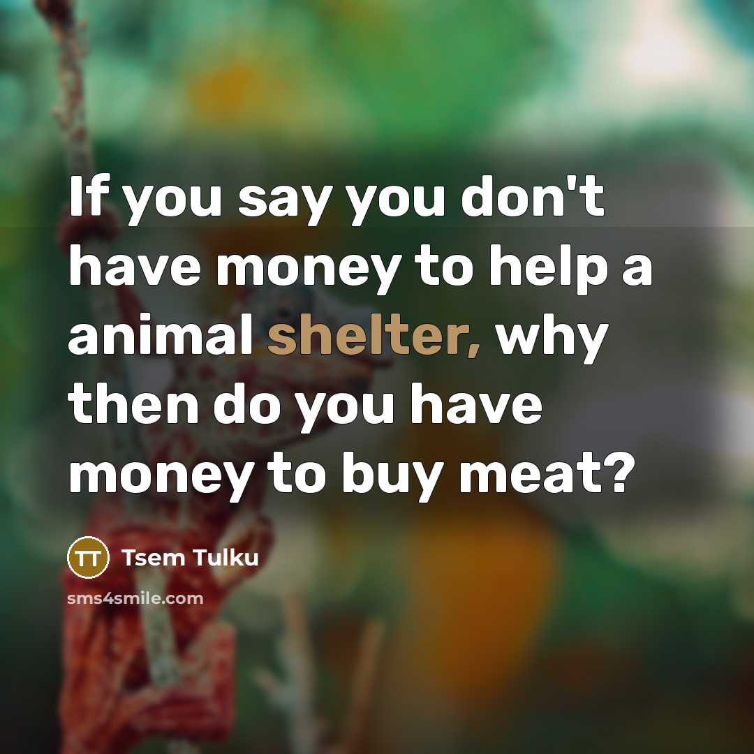 “If you say you don't have money to help a…” quote by Tsem Tulku