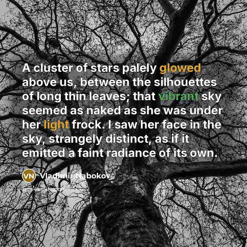 “A cluster of stars palely glowed above us, between the…” quote by Vladimir Nabokov