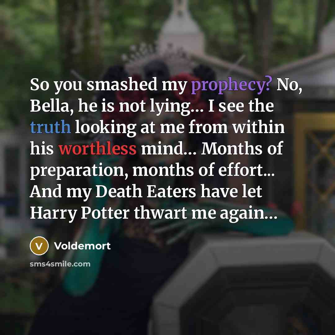 “So you smashed my prophecy? No, Bella, he is not…” quote by Voldemort