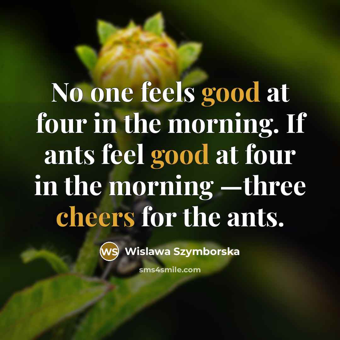 “No one feels good at four in the morning. If…” quote by Wislawa Szymborska
