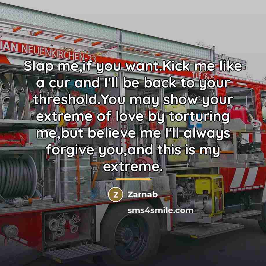“Slap me,if you want.Kick me like a cur and I'll…” quote by Zarnab