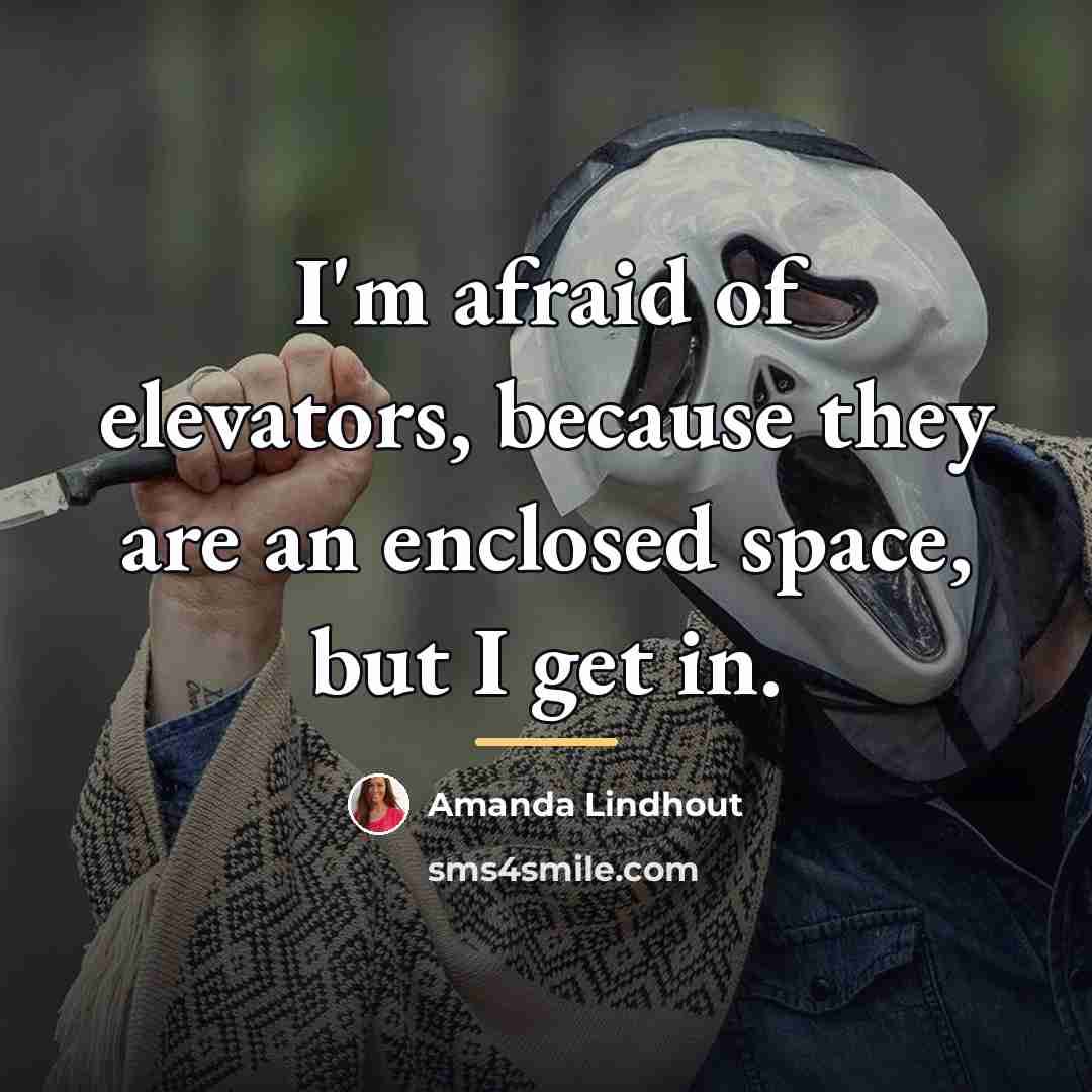 “I'm afraid of elevators, because they are an enclosed space,…” quote by Amanda Lindhout