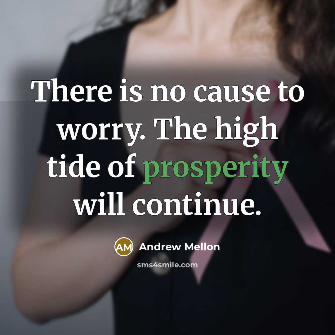 “There is no cause to worry. The high tide of…” quote by Andrew Mellon