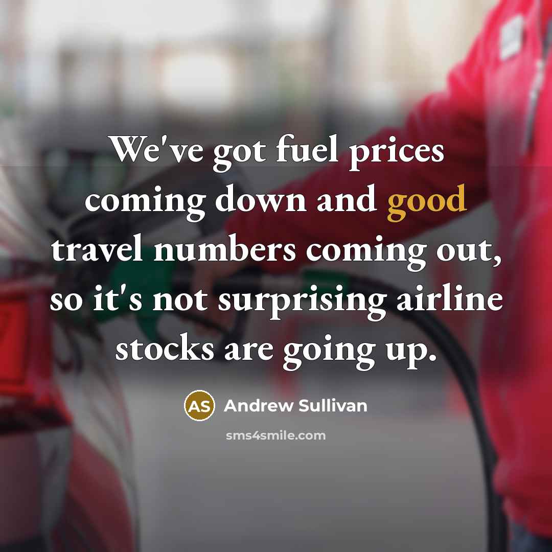 “We've got fuel prices coming down and good travel numbers…” quote by Andrew Sullivan