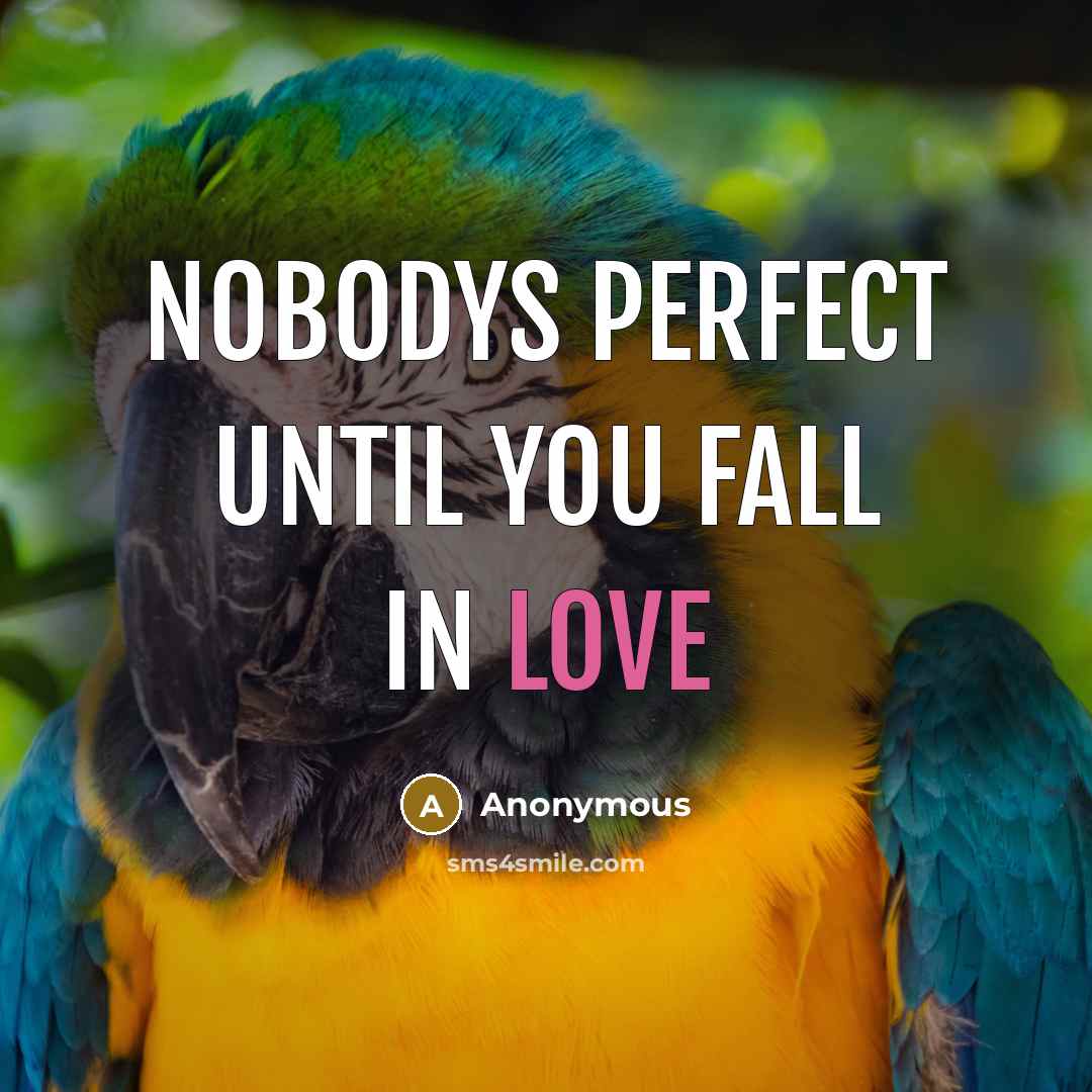 “Nobodys Perfect until you fall in love…” quote by Anonymous