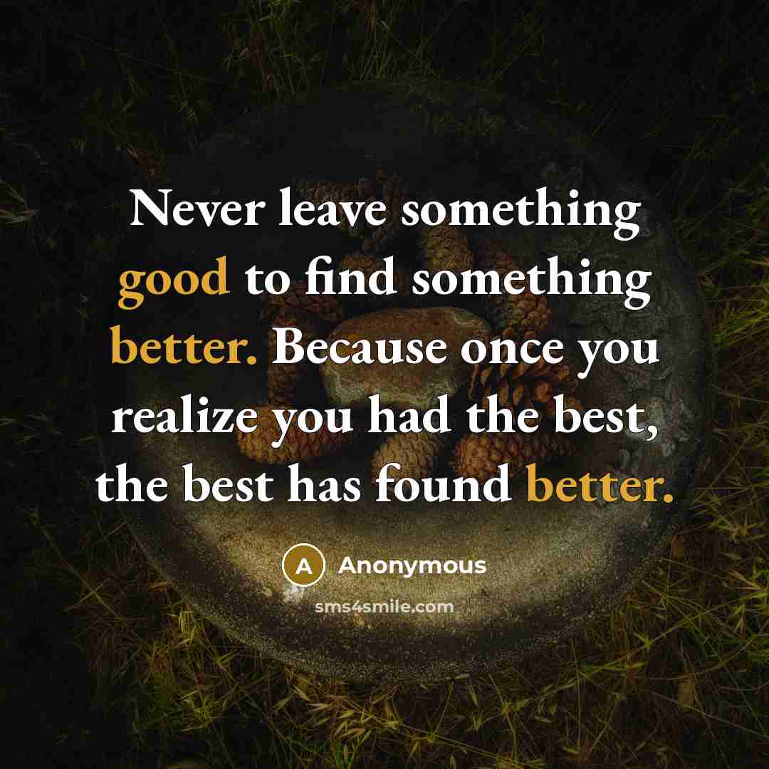 “Never leave something good to find something better. Because once you realize you had the best, the best has found better.” quote by Anonymous