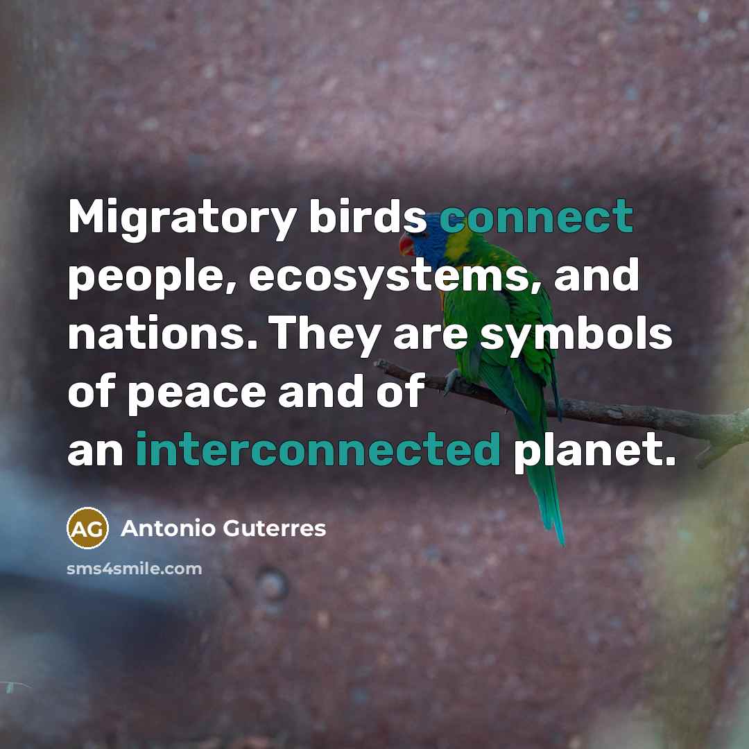 “Migratory birds connect people, ecosystems, and nations. They are symbols of peace and of an interconnected planet.” quote by Antonio Guterres
