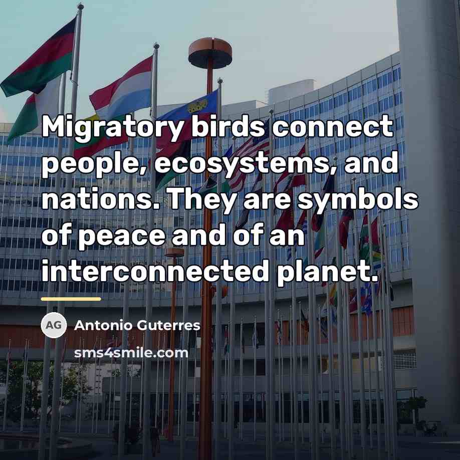 “Migratory birds connect people, ecosystems, and nations. They are symbols…” quote by Antonio Guterres