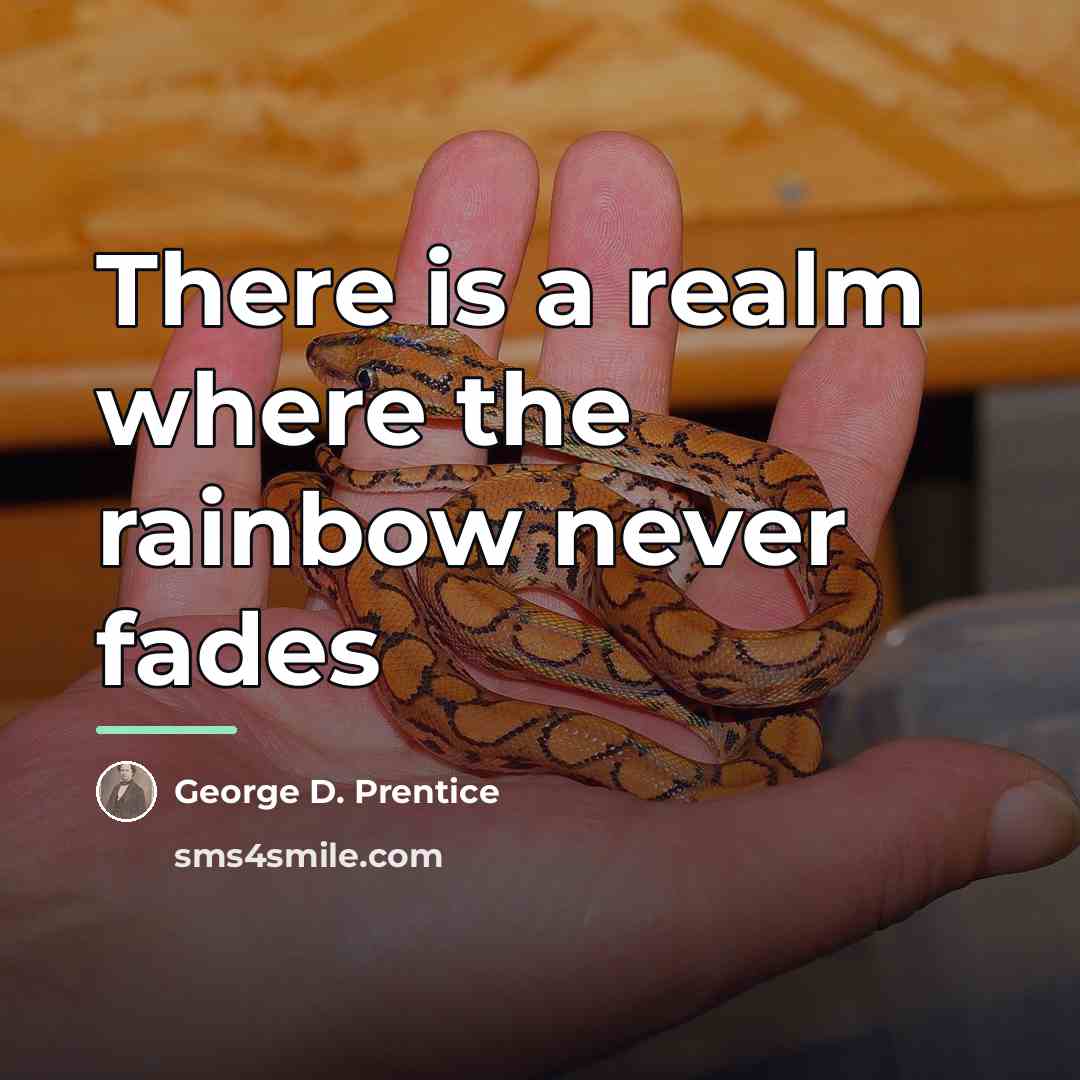 “There is a realm where the rainbow never fades…” quote by George D. Prentice