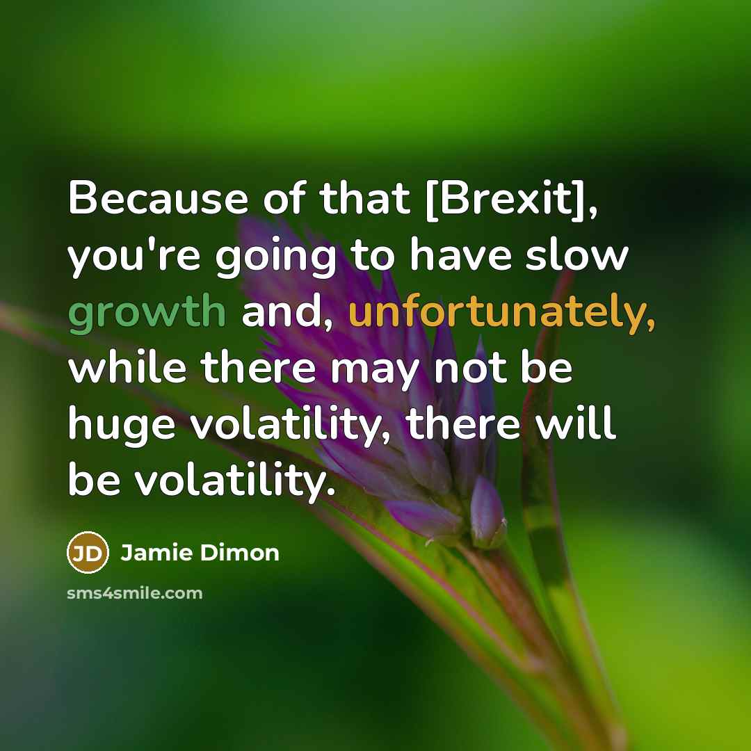 “Because of that [Brexit], you're going to have slow growth and, unfortunately, while there may not be huge volatility, there will be volatility.” quote by Jamie Dimon