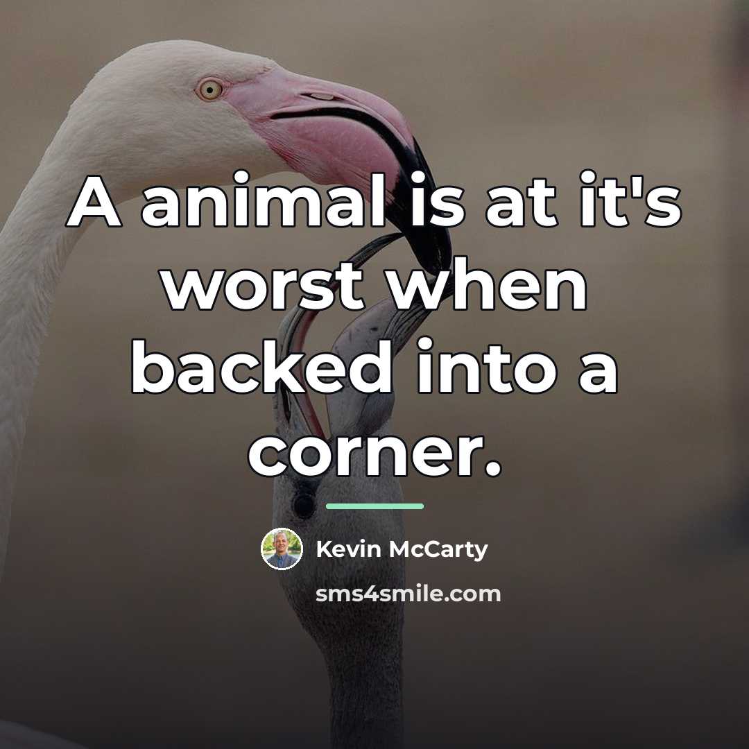 “A animal is at it's worst when backed into a…” quote by Kevin McCarty