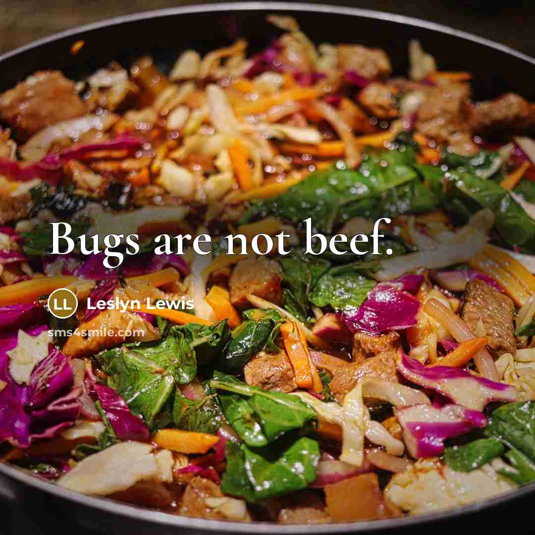 “Bugs are not beef.…” quote by Leslyn Lewis
