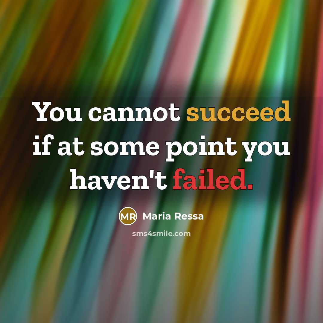 “You cannot succeed if at some point you haven't failed.” quote by Maria Ressa