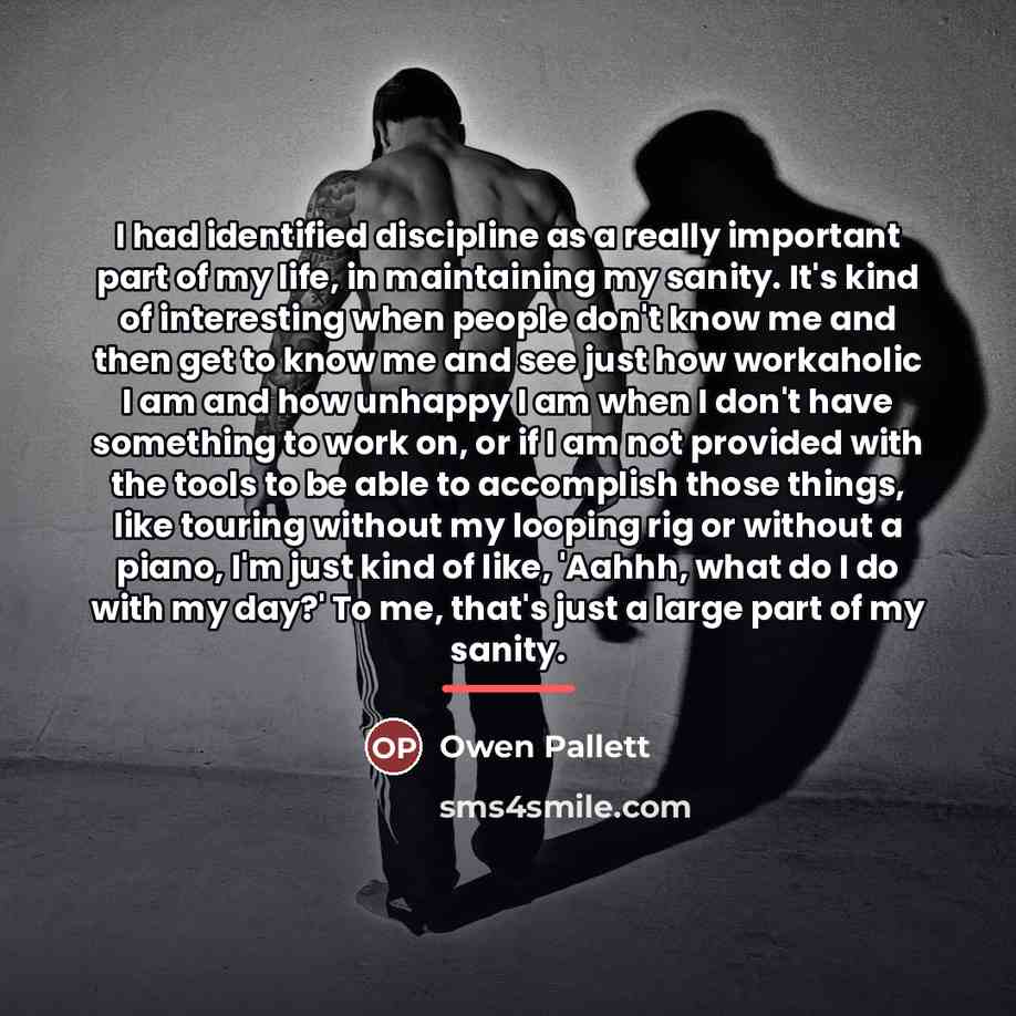 “I had identified discipline as a really important part of…” quote by Owen Pallett