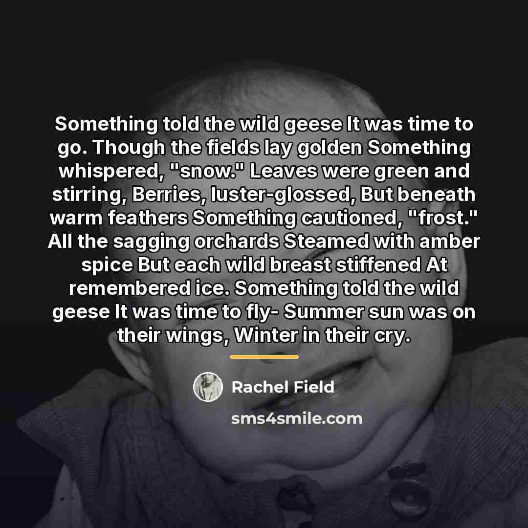 “Something told the wild geese It was time to go.…” quote by Rachel Field