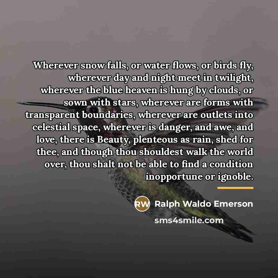“Wherever snow falls, or water flows, or birds fly, wherever…” quote by Ralph Waldo Emerson