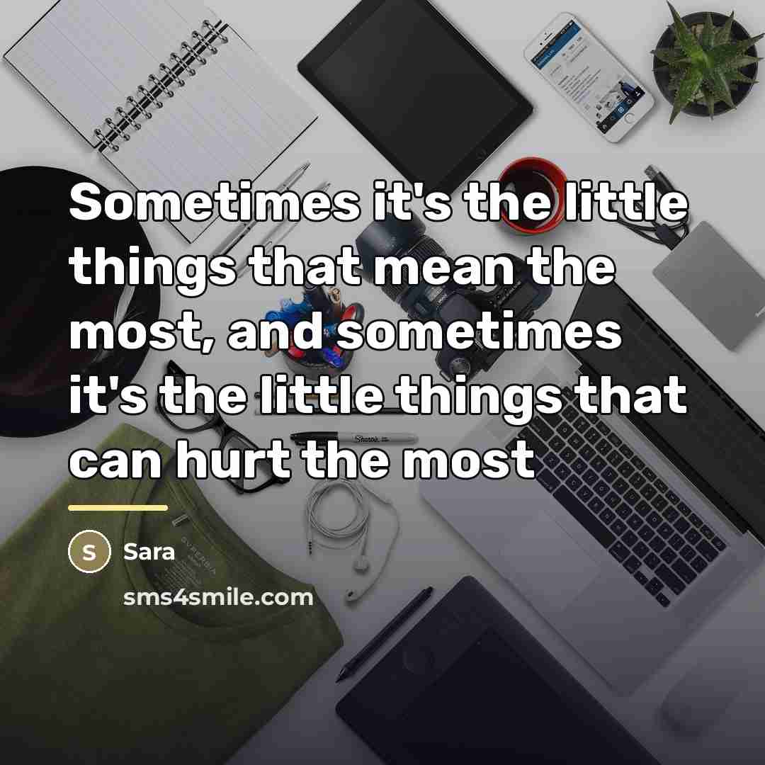 “Sometimes it's the little things that mean the most, and…” quote by Sara