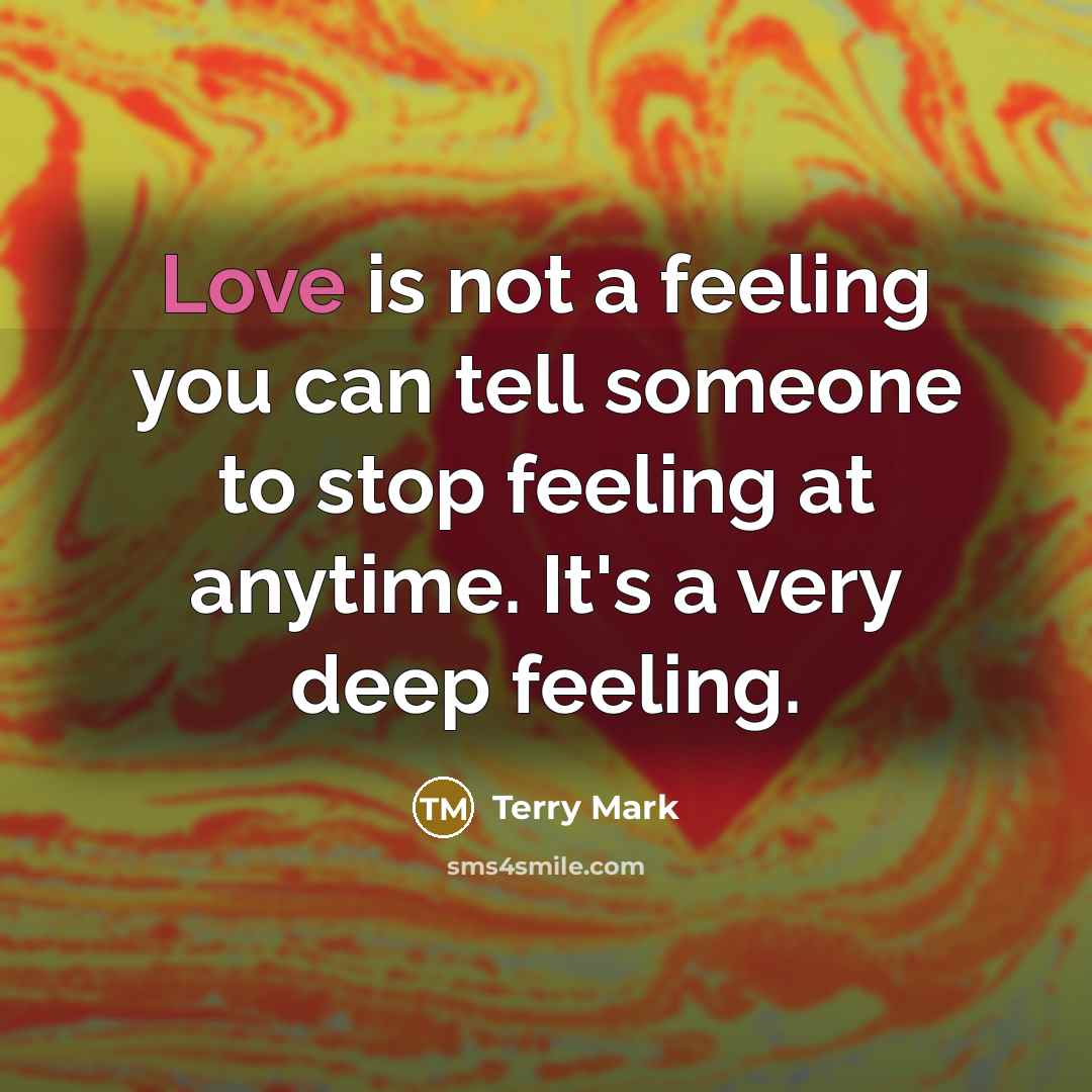 “Love is not a feeling you can tell someone to…” quote by Terry Mark