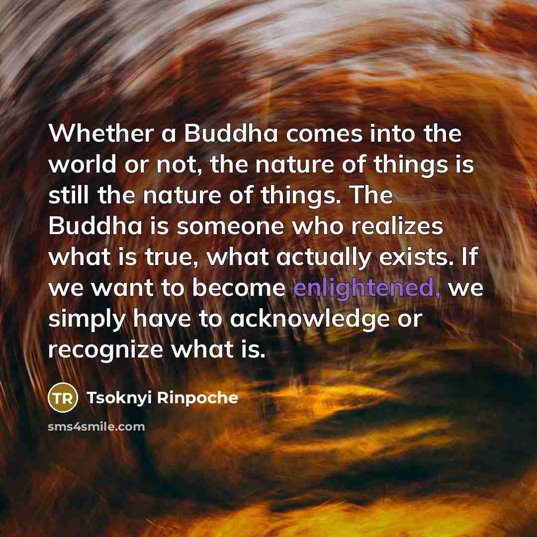 “Whether a Buddha comes into the world or not, the…” quote by Tsoknyi Rinpoche