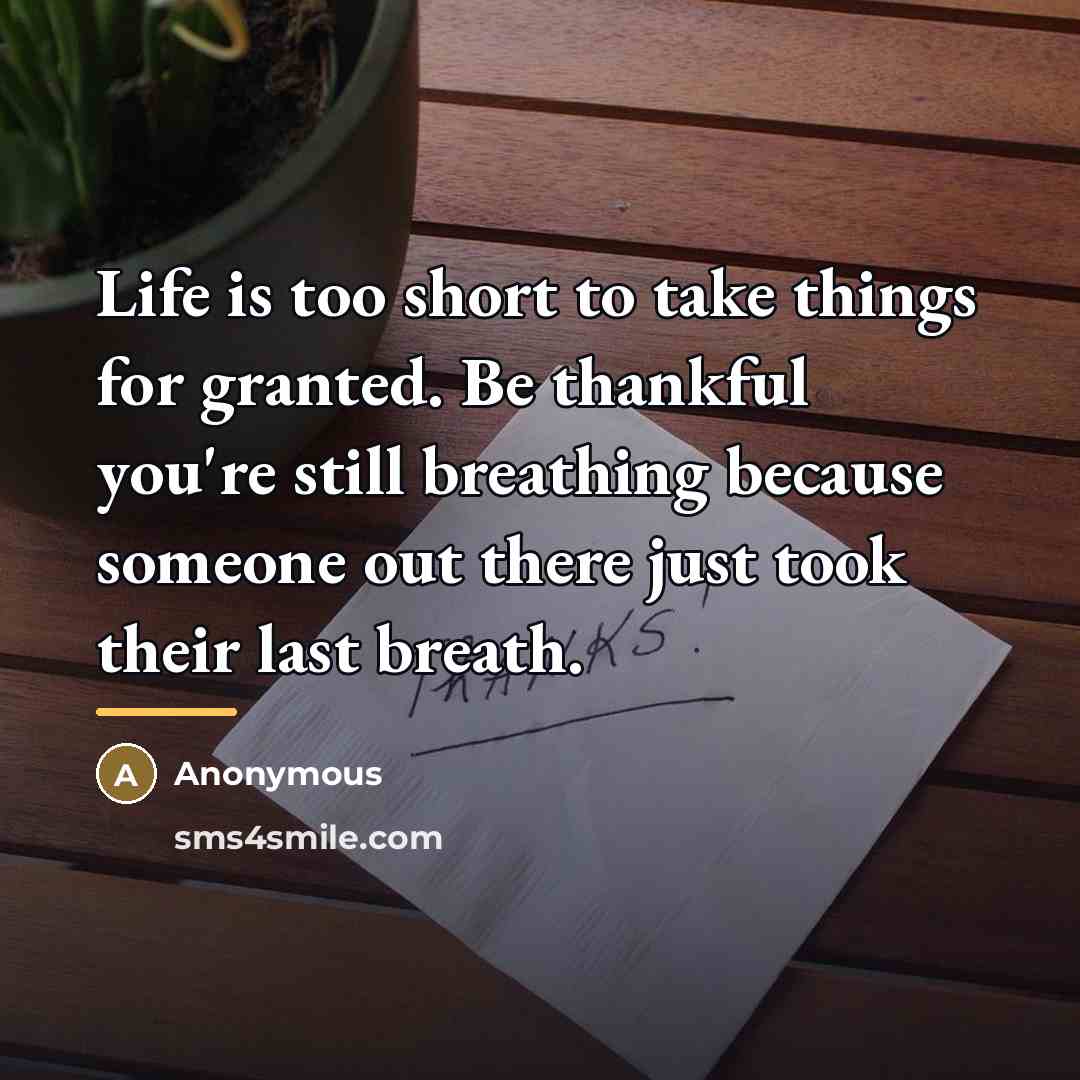 “Life is too short to take things for granted. Be…” quote by Anonymous