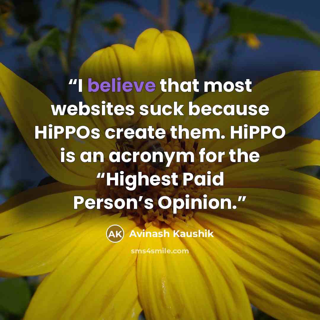 “I believe that most websites suck because HiPPOs create them. HiPPO is an acronym for the “Highest Paid Person’s Opinion.” quote by Avinash Kaushik