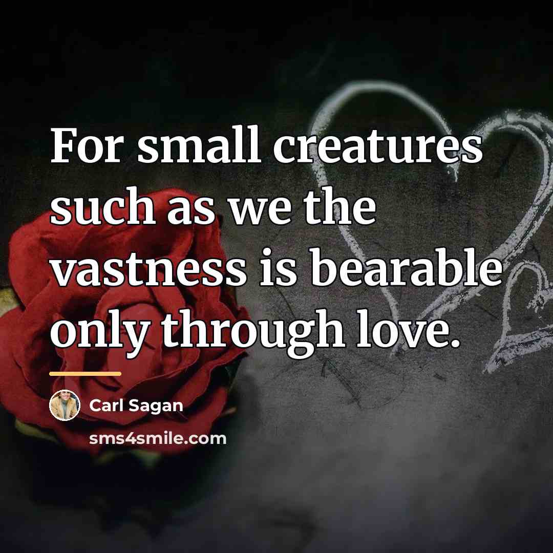 “For small creatures such as we the vastness is bearable…” quote by Carl Sagan