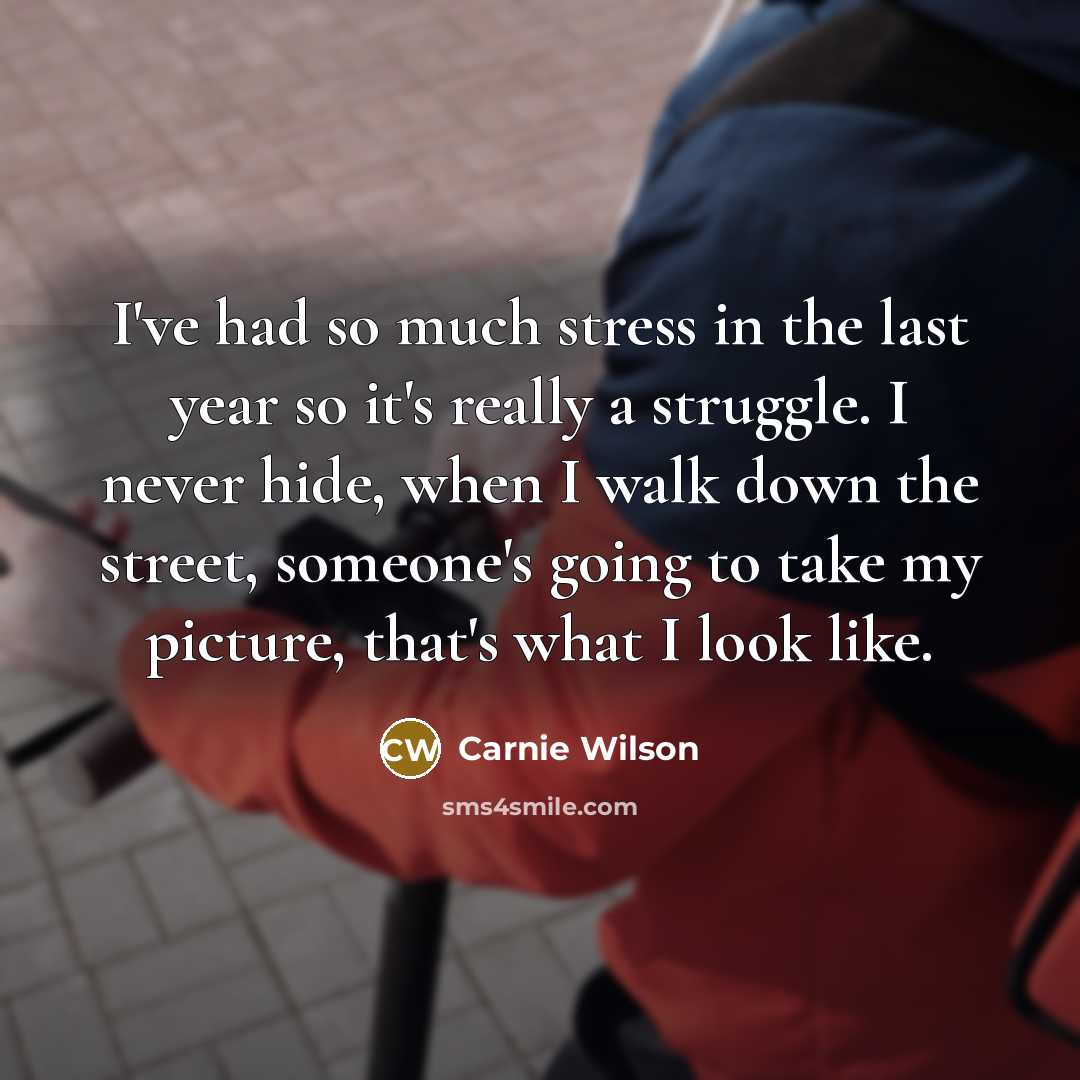 “I've had so much stress in the last year so…” quote by Carnie Wilson