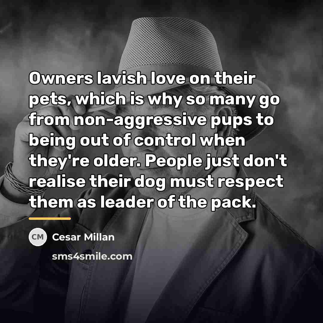 “Owners lavish love on their pets, which is why so…” quote by Cesar Millan