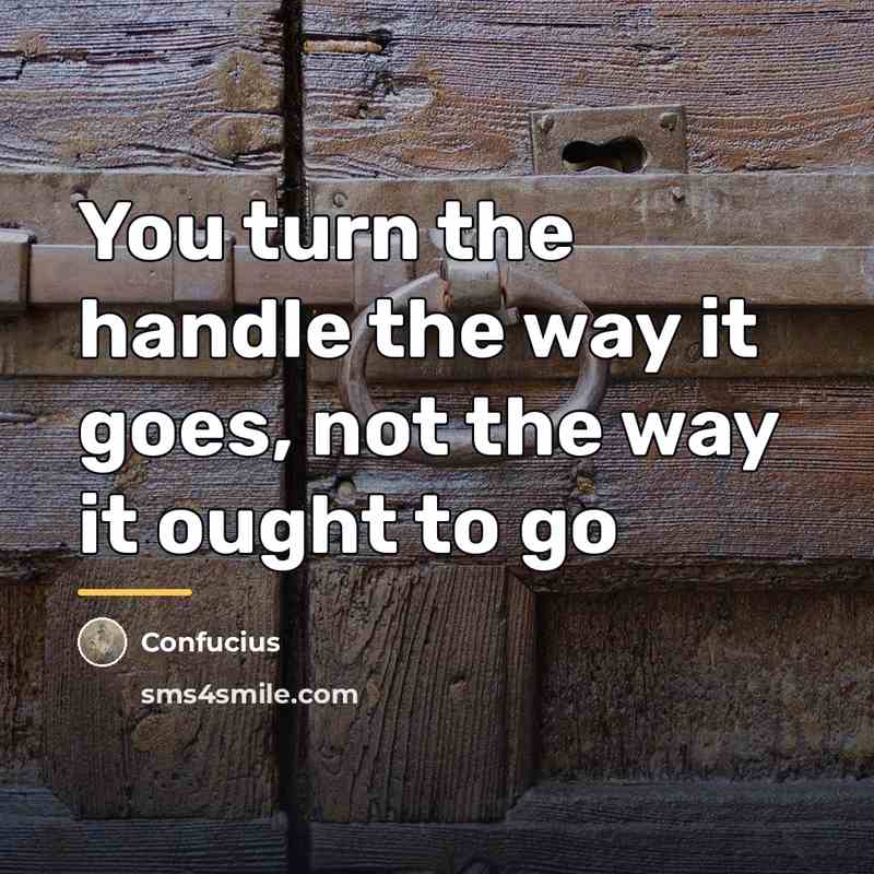 “You turn the handle the way it goes, not the…” quote by Confucius