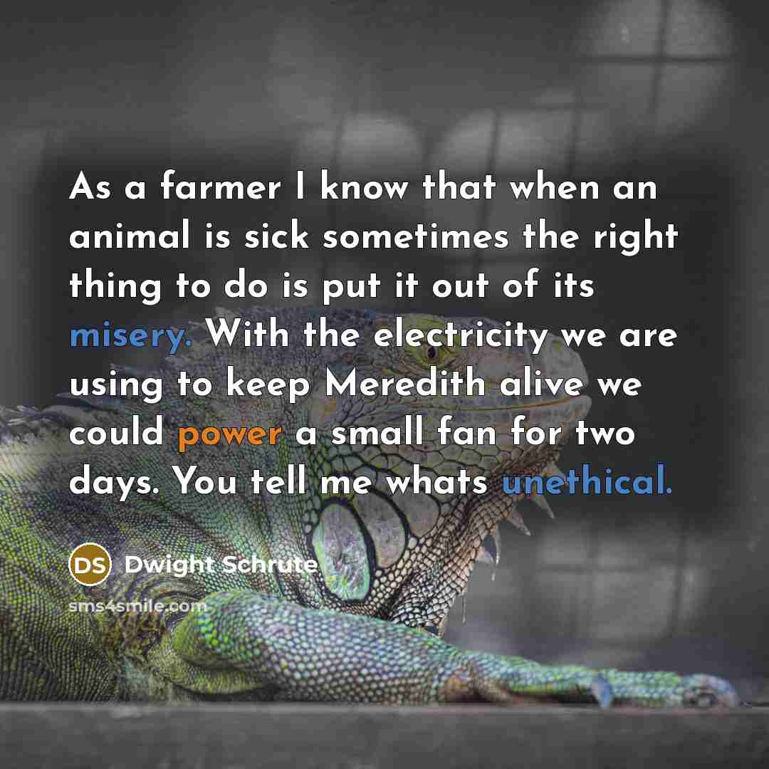 “As a farmer I know that when an animal is sick sometimes the right thing to do is put it out of its misery. With the electricity we are using to keep Meredith alive we could power a small fan for two days. You tell me whats unethical.” quote by Dwight Schrute