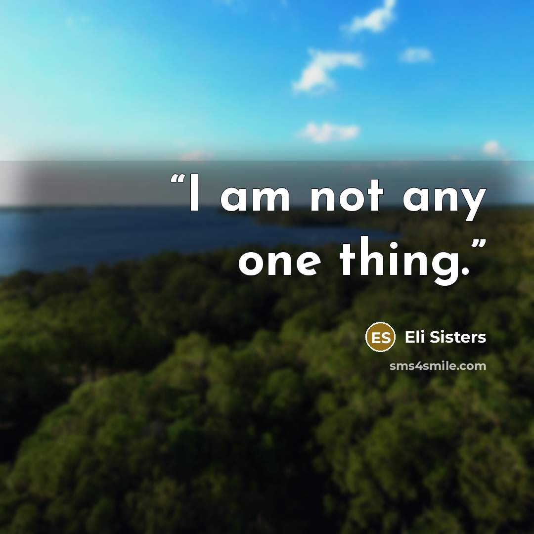 “I am not any one thing.” quote by Eli Sisters