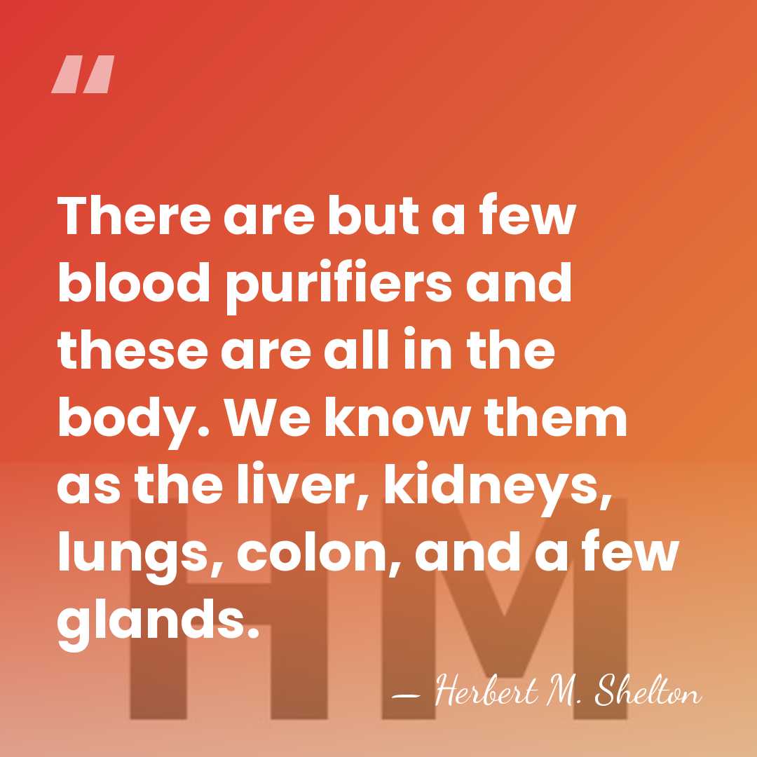There are but a few blood purifiers and these are all in&hellip; - Herbert M. Shelton