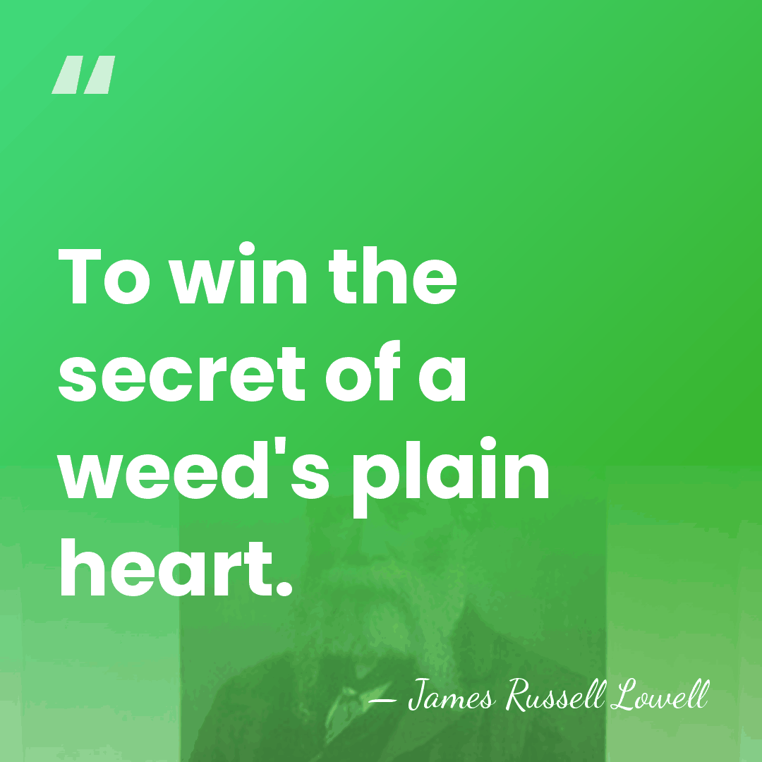 To win the secret of a weed's plain heart. - James Russell Lowell